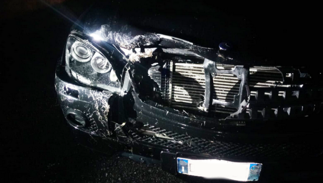 auto frontale cervo feb 21