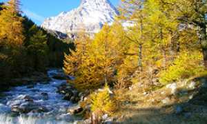 b larici monte leone