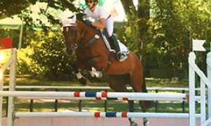 b piovani cavallo salto frontale