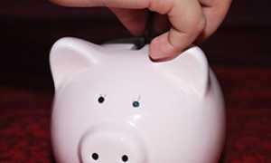 b salvadanaio maialino