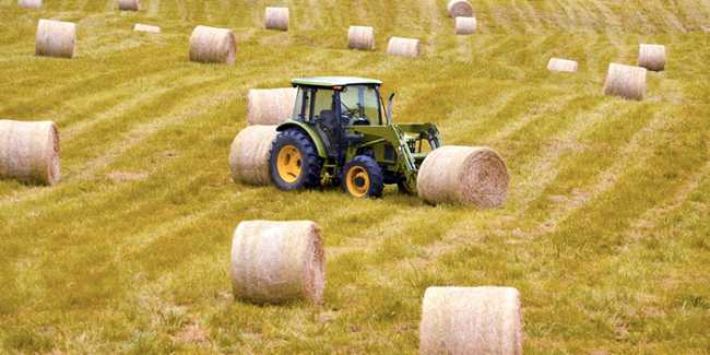 balle fieno campo trattore