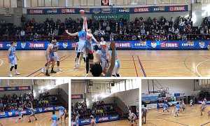 basket vinavil cipir alba mix