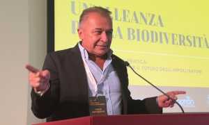 bongioanni