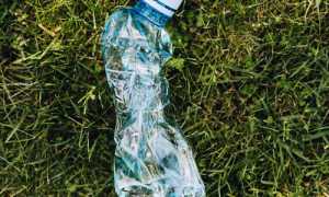 bottiglia plastica prato