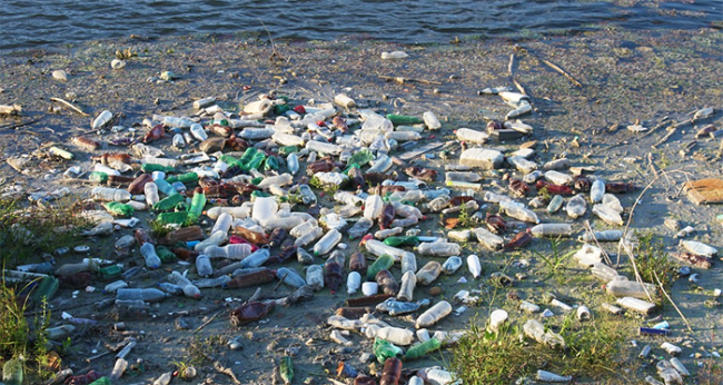 bottiglie plastica terra lago