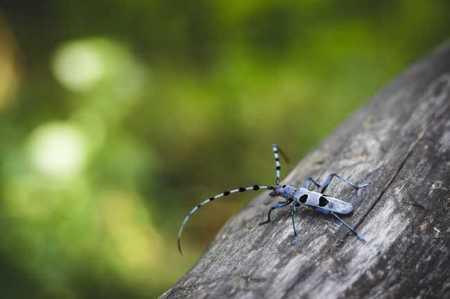 bug 5448566 1280
