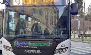 bus vco trasporti