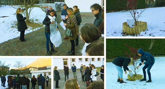 camilla valentini pianta mix