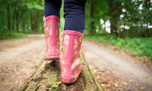 camina camminata piedi stivali bosco