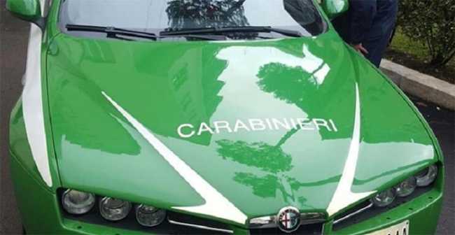 carabinieri forestali