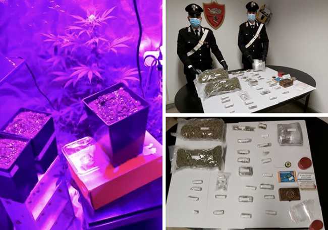 carabinieri piante marjuana crodo ott 20 mix