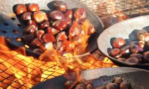 castagne fuoco