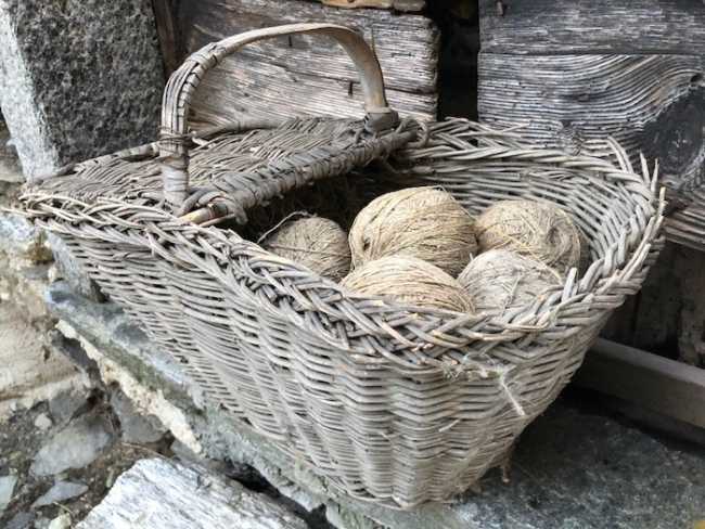 cesto simona silvestris