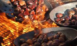 chestnuts 1783878 640