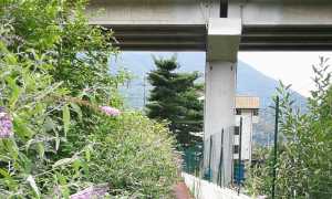 ciclabile domo infestata piante