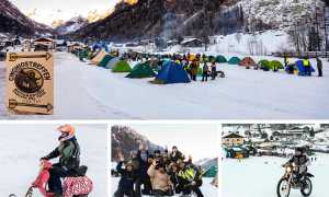 cinghiostreffen 2020 mix