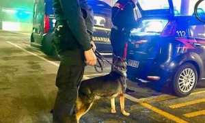 controlli carabinieri unita cinofile 199830.660x368