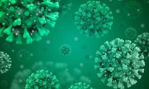 coronavirus disease covid 2019 g02b20e2f3 640
