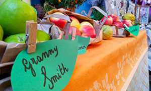 corta MeleMiele 2014