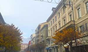 corta addobbi natale 2015