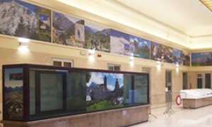 corta atrio stazione domo pannelli