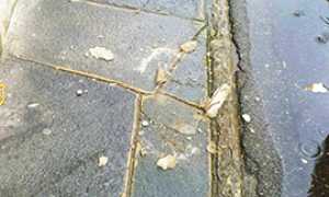 corta calcinacci marciapiede