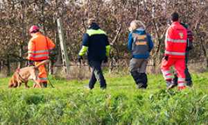 corta cane ricerche squadra vigna