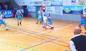 corta cipir poli basket canestro