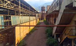 corta ex sisma