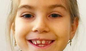 corta greta cervo gustavo