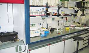 corta laboratorio analisi