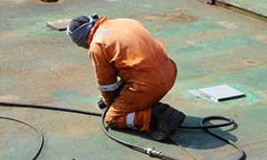 corta lavoratore migrante