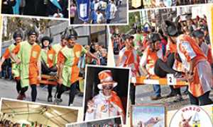 corta palio asini varzo