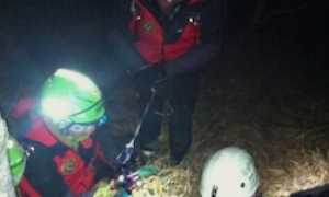 corta soccorso bosco