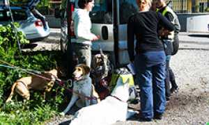 corta soccorso cani