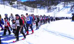 corta traccia bianca