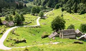 corta valle isorno