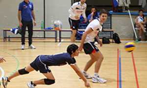 corta volley tuffo bistrot