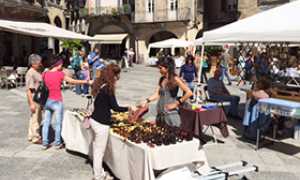 corto fiera piazza
