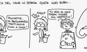 deiezioni