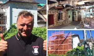 divin porcello mix interno