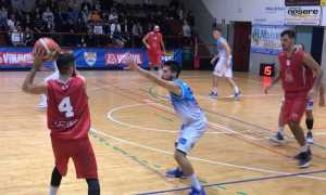domo cecina basket