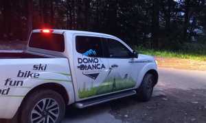 domobianca pick up
