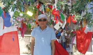 don visco alternativa a