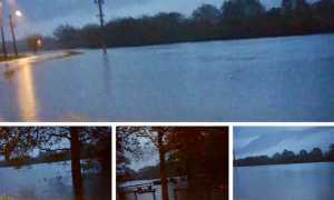 esondazione prati calice mix