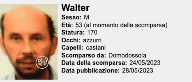 fallarini chi lha visto