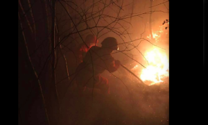 fiamme bosco aib incendio