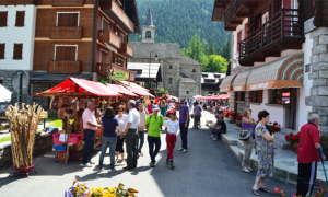 fiera san bernardo macugnagmaggio0