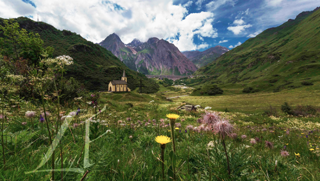 formazza riale primavera fiore diga