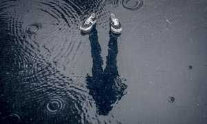 foto di janrye pixbay